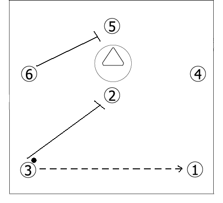 2-3-1 lacrosse play