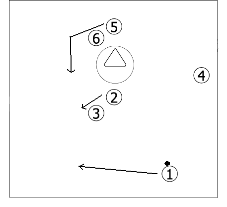 2-3-1 Lacrosse plays